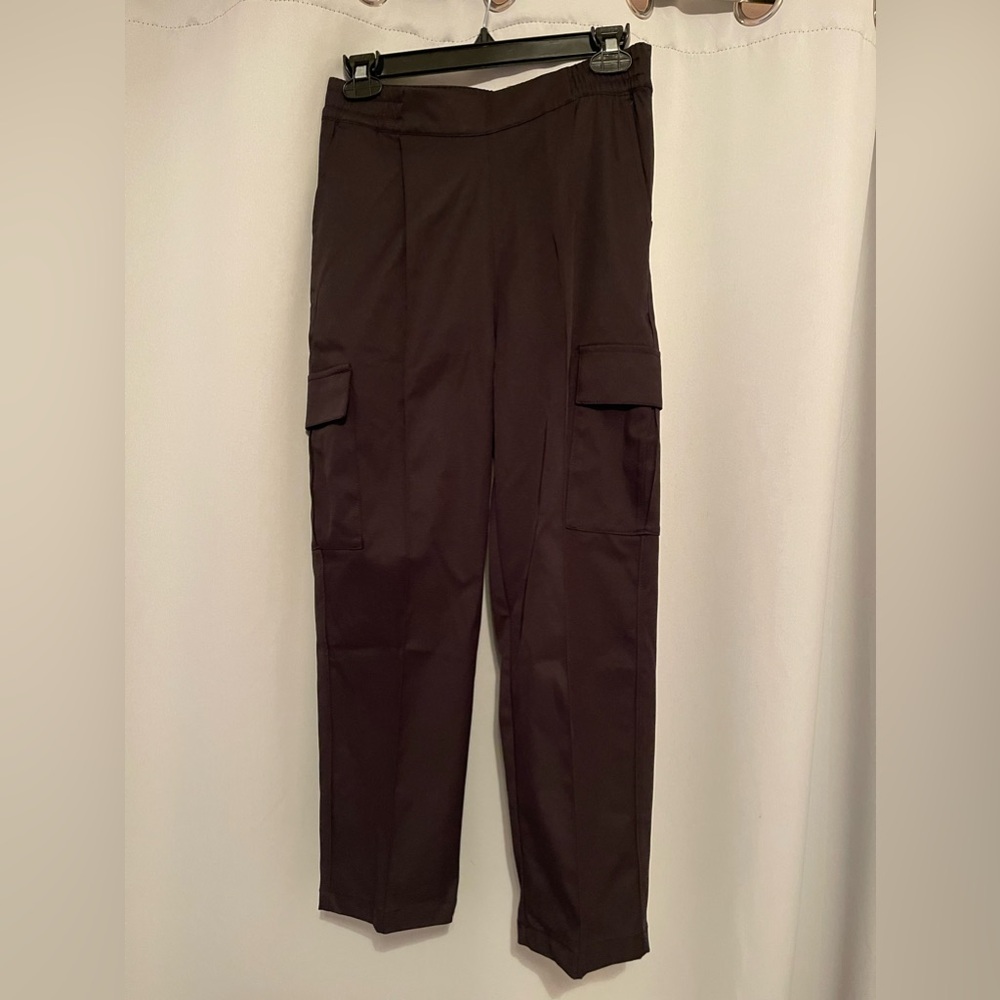 NWT North face standard cargo pants small